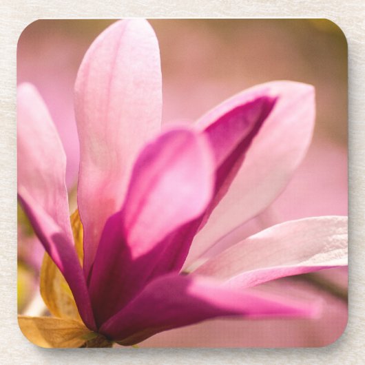 Pink Magnolia Untersetzer (Vorderseite)