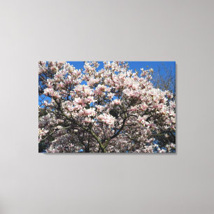 Pink Magolia Tree Wrapped Canvas Print Leinwanddruck
