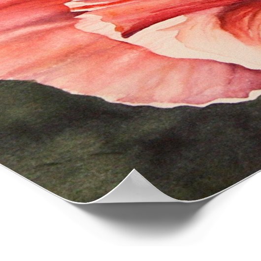 Pink Mais Poppy Botanisches Poster Canvas Print (Ecke)