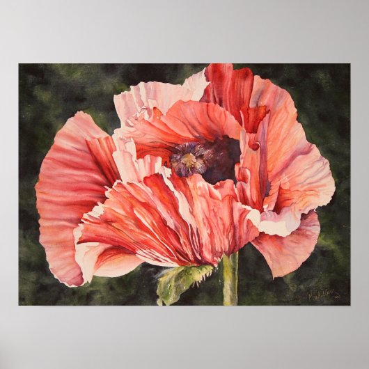 Pink Mais Poppy Botanisches Poster Canvas Print (Vorne)