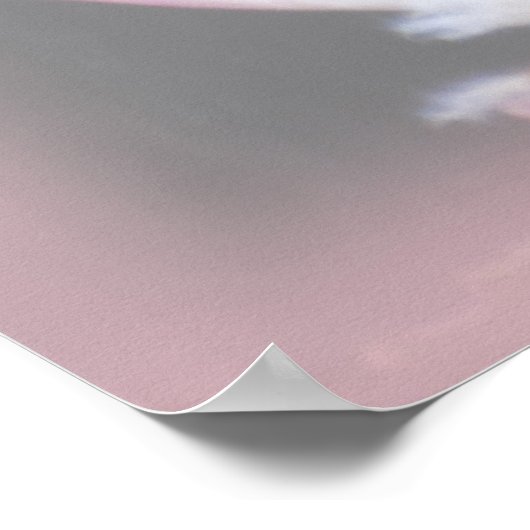 Pink Mamosa Protea Poster (Ecke)