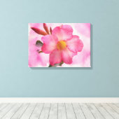 Pink Mandevilla Vine Leinwanddruck (Insitu (Holzboden))