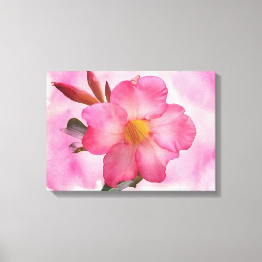 Pink Mandevilla Vine Leinwanddruck (Vorderseite)