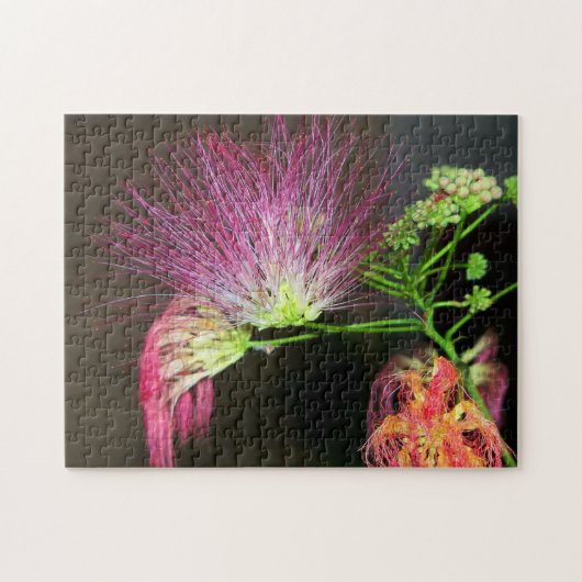 Pink Mimosa Blume Bloom Puzzle (Horizontal)