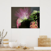 Pink Mimosa Blume mit braunem Foto Poster (Küche)
