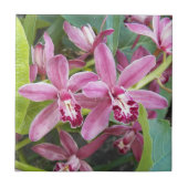 Pink Mini Cymbidium Orchios Blütenblätter Fliese (Vorderseite)