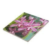 Pink Mini Cymbidium Orchios Blütenblätter Fliese (Seite)