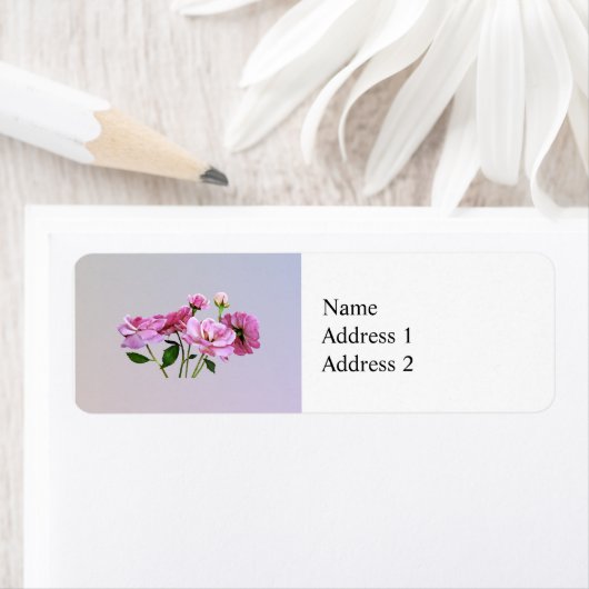 Pink Miniatur-Rose (Insitu)