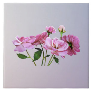 Pink Miniatur-Rose Fliese