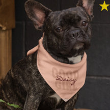 Pink Minimalist Typography Custom Name Pet Bandana