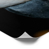 Pink Moluccan Cockatoo Parrot Poster (Ecke)