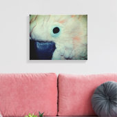 Pink Moluccan Cockatositu Papagei Nah Leinwanddruck (Insitu (Wohnzimmer))