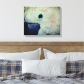 Pink Moluccan Cockatositu Papagei Nah Leinwanddruck (Insitu (Schlafzimmer))