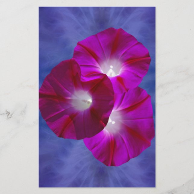 Pink Morning Glory (Vorderseite)