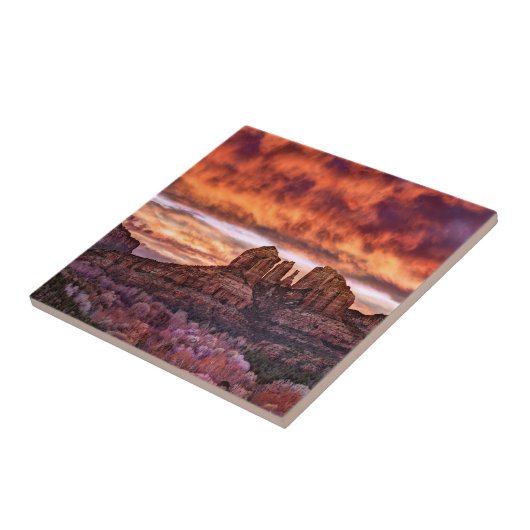 Pink Morning Glory Fliese (Seite)