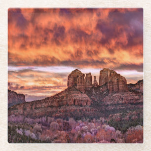 Pink Morning Glory Glasuntersetzer