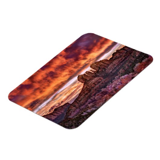 Pink Morning Glory Magnet (Linke Seite)