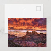 Pink Morning Glory Postkarte (Vorne/Hinten)