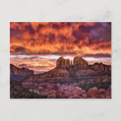 Pink Morning Glory Postkarte (Vorderseite)