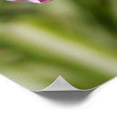 Pink Morning Glory w/ Verse aus Psalm 118:24 Poster (Ecke)