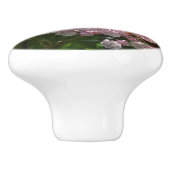 Pink Mountain Laurel Blume Keramikknauf (Seitenansicht)