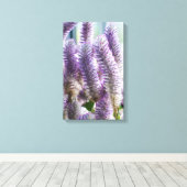 Pink Mulla Mulla Wrapped Canvas Leinwanddruck (Insitu (Holzboden))