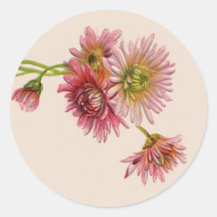PINK MUMS by SHARON SHARPE Runder Aufkleber