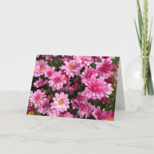 Pink Mums Grußkarte Karte