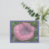 Pink Mushroom Postkarte (Stehend Vorderseite)