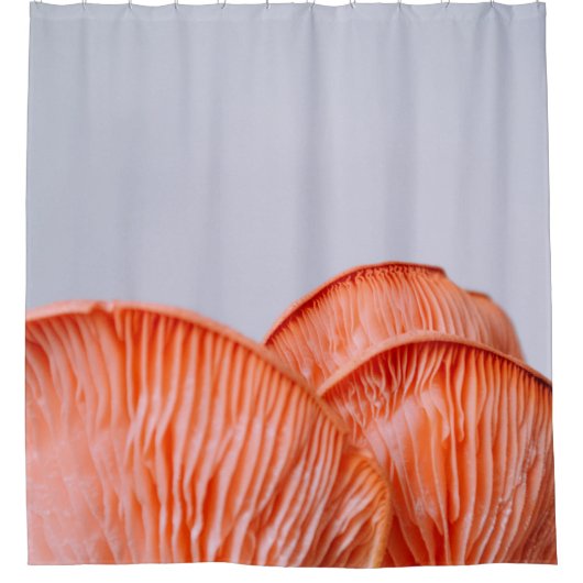 PINK MUSHROOMS DUSCHVORHANG (Vorderseite)