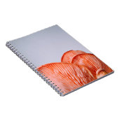 PINK MUSHROOMS NOTIZBLOCK (Rechte Seite)