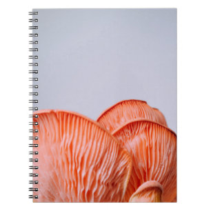 PINK MUSHROOMS NOTIZBLOCK