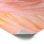 PINK MUSHROOMS POSTER (Ecke)
