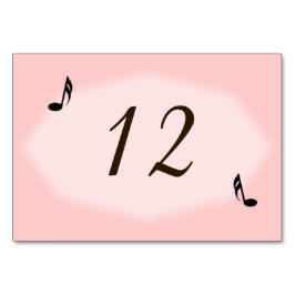 Pink Music Theme Wedding Tischnummer Placecards