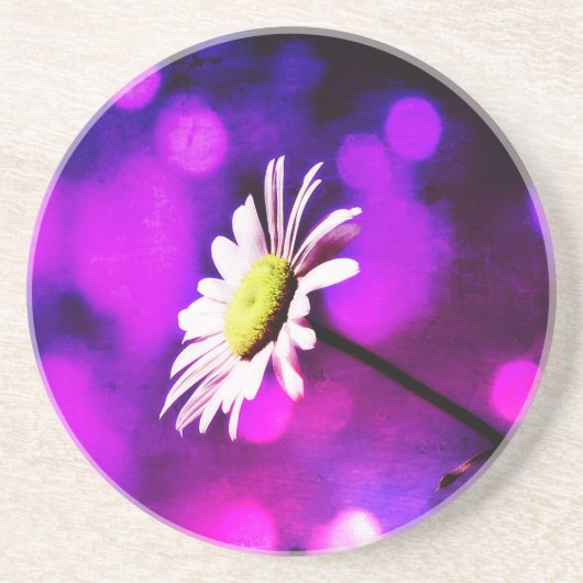 Pink N Amethyst Daisy Sandstein Untersetzer (Vorne)