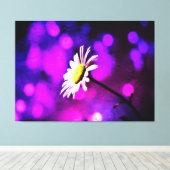Pink N Amethyst Daisy Wrapped Canvas Leinwanddruck (Insitu (Holzboden))