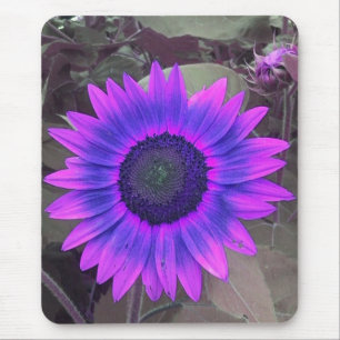 Pink N lila Sunflower-Mauspad Mousepad