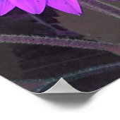 Pink N Lila Sunflower Poster (Ecke)