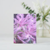 Pink Nerines Postcard Postkarte (Stehend Vorderseite)