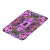 Pink New England Aster Blume hinzufügen Ihr Foto Magnet (Linke Seite)