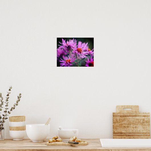 Pink New England Aster-Blume Poster (Küche)