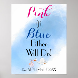 Pink oder blau werden auch eine Babydusche machen Poster