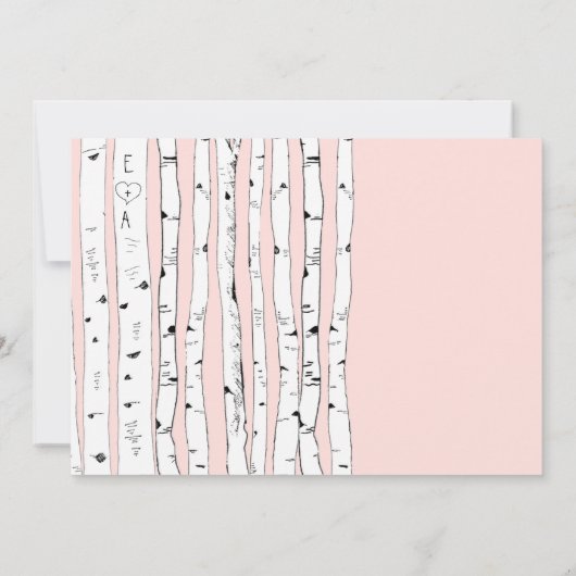 PINK ODER EINE FARBBILDSCHIRMEINLADUNG EINLADUNG (Rückseite)