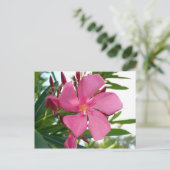 Pink-Oleander-Foto Postkarte (Stehend Vorderseite)