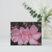 Pink Oleander Postkarte (Stehend Vorderseite)