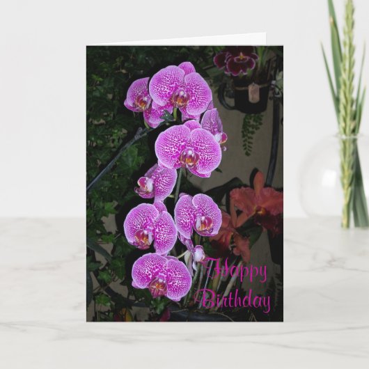 Pink Orchid Birthday Card Karte (Vorderseite)