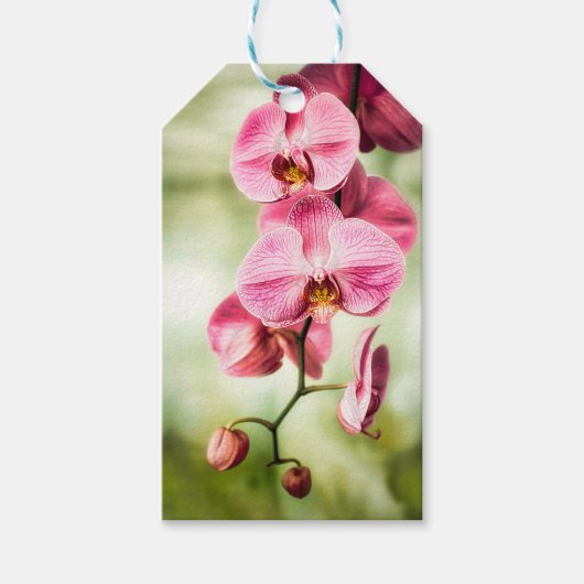 Pink Orchid Geschenkanhänger (Vorderseite)