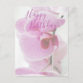 Pink Orchid | Happy Birthday Postkarte (Vorderseite)