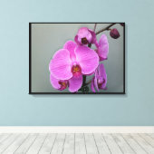 PINK ORCHID Leinwand (Insitu (Holzboden))