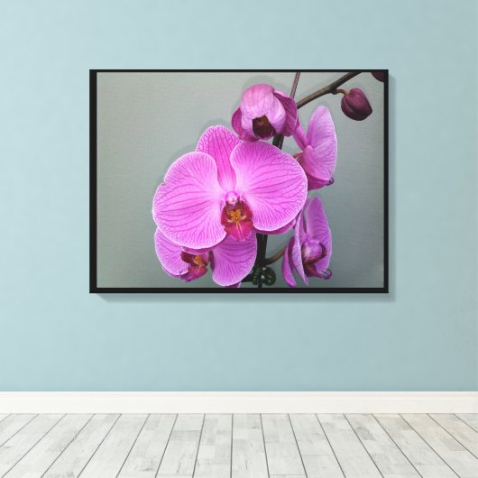 PINK ORCHID Leinwand (Insitu (Holzboden))